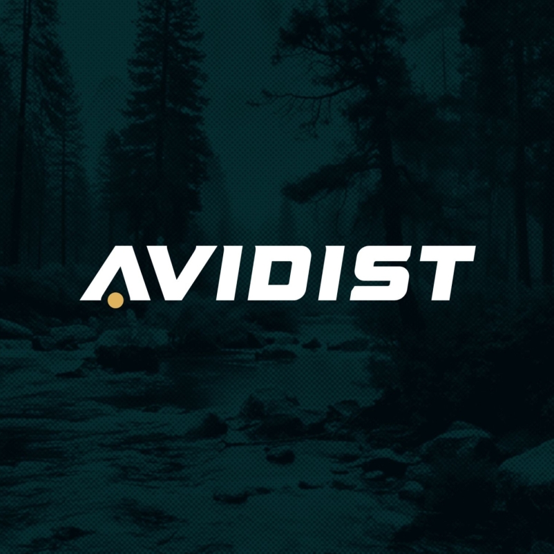 AVIDIST brand identity concepting 02