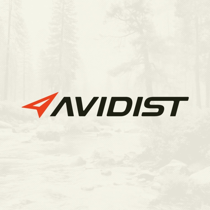 AVIDIST brand identity concepting 03