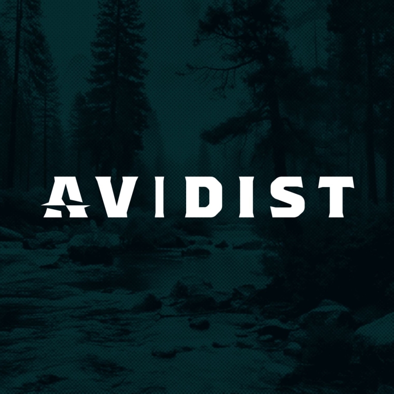 AVIDIST brand identity concepting 04