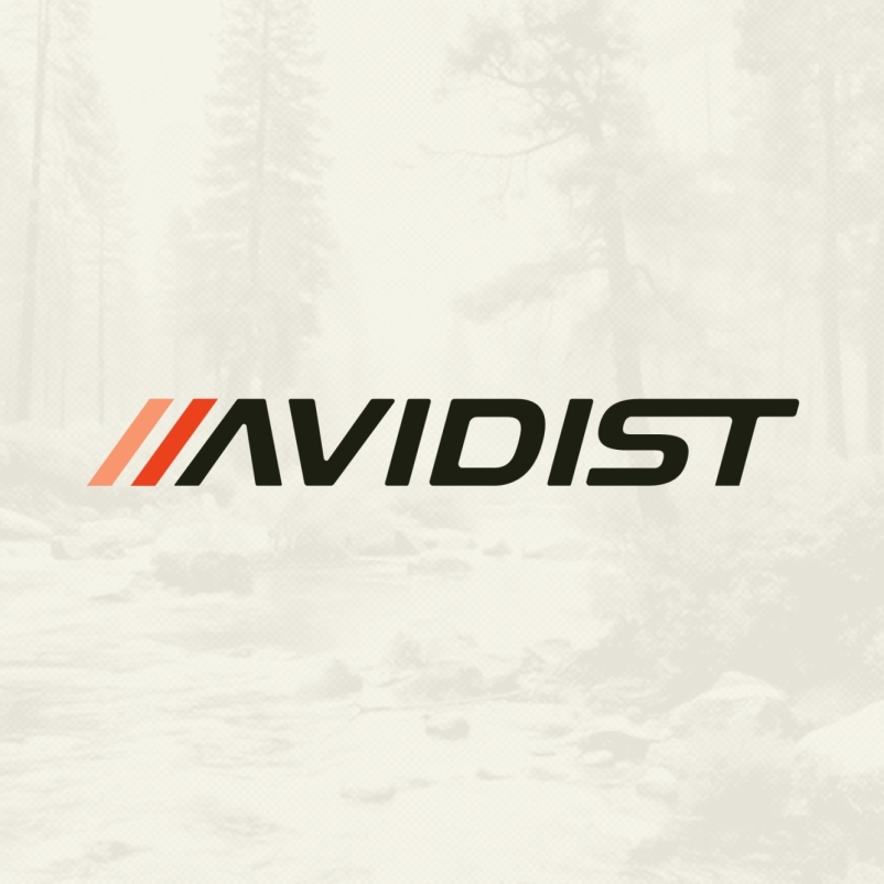 AVIDIST brand identity concepting 05