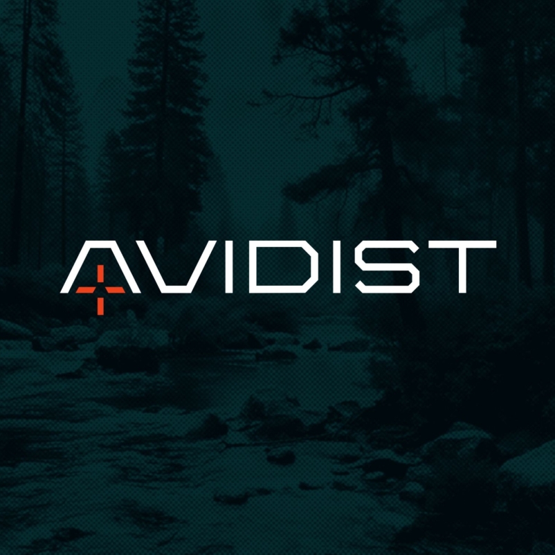 AVIDIST brand identity concepting 06