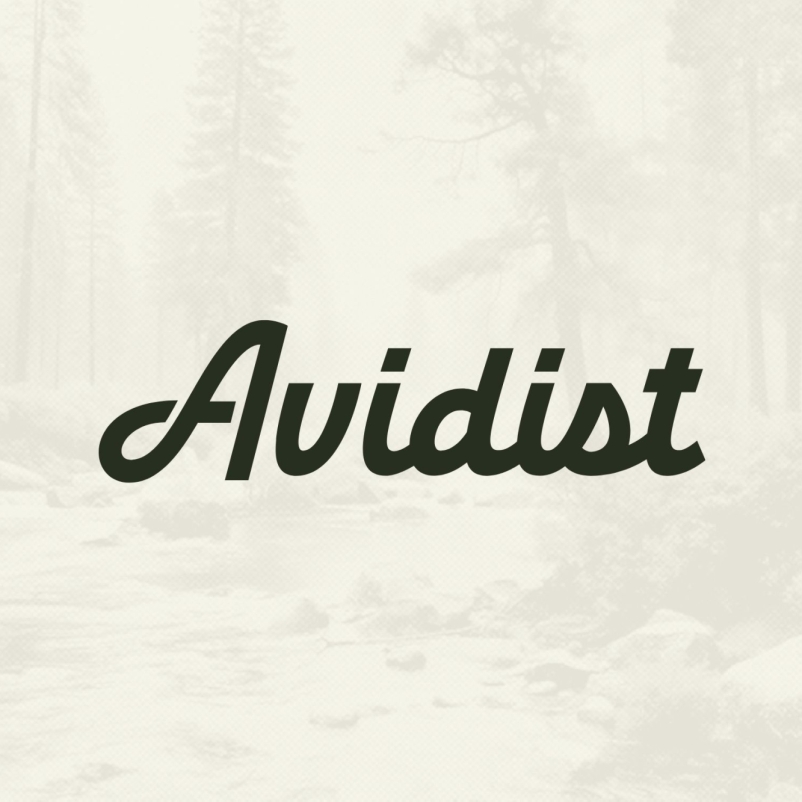 AVIDIST brand identity concepting 07