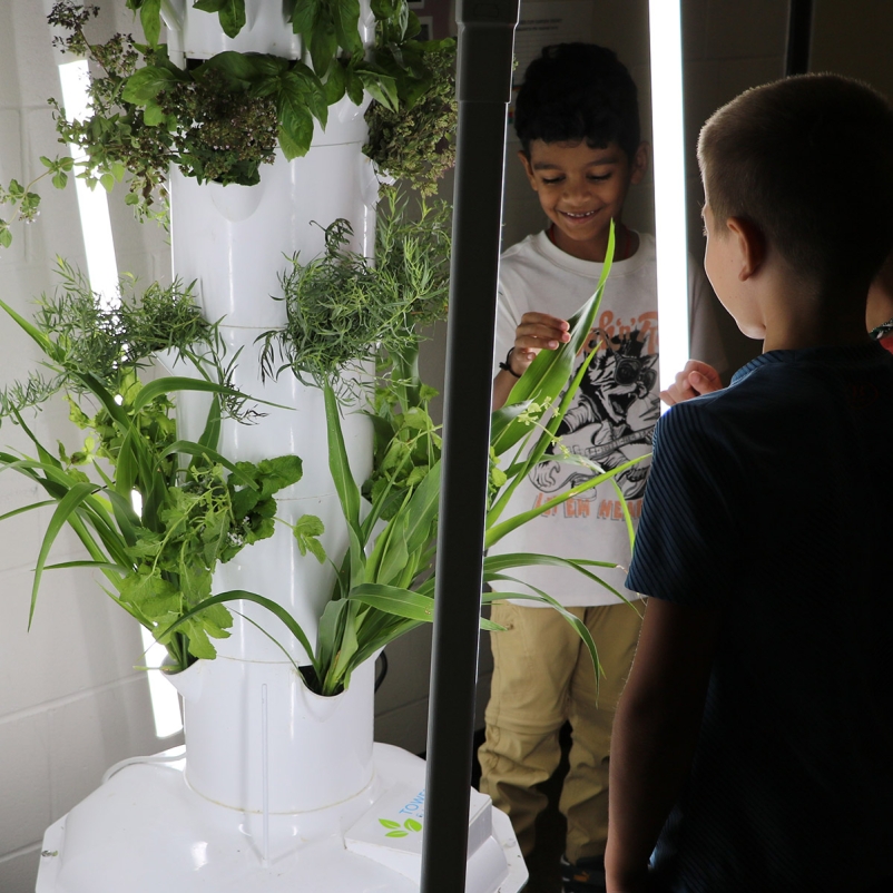 upchurch s.t.e.m. elementary