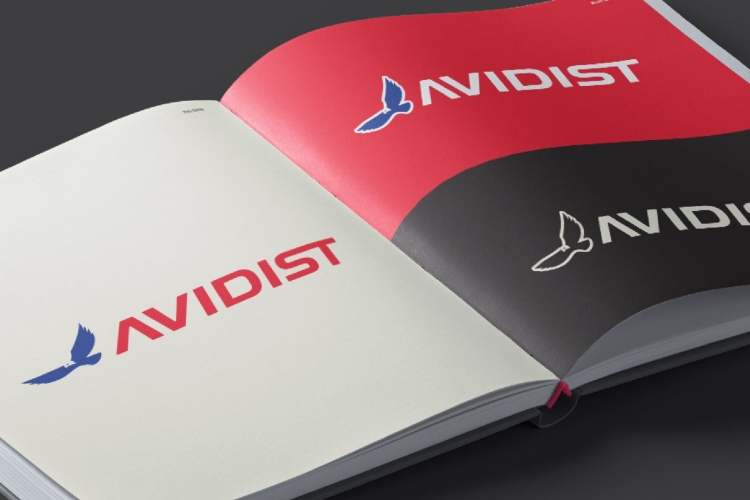 AVIDIST Visual Brand Identity Standards Book