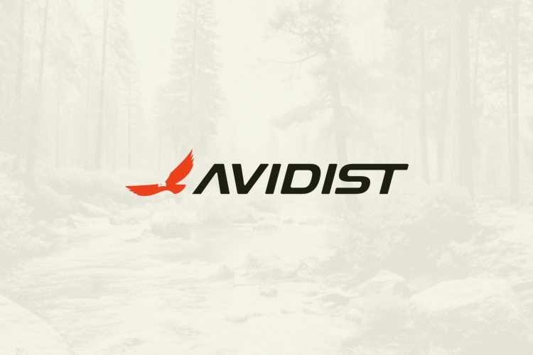 AVIDIST brand identity concepting 01